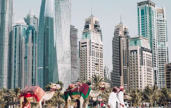 Dubai e Abu Dhabi Explore Dubai e Abu Dhabi Explore